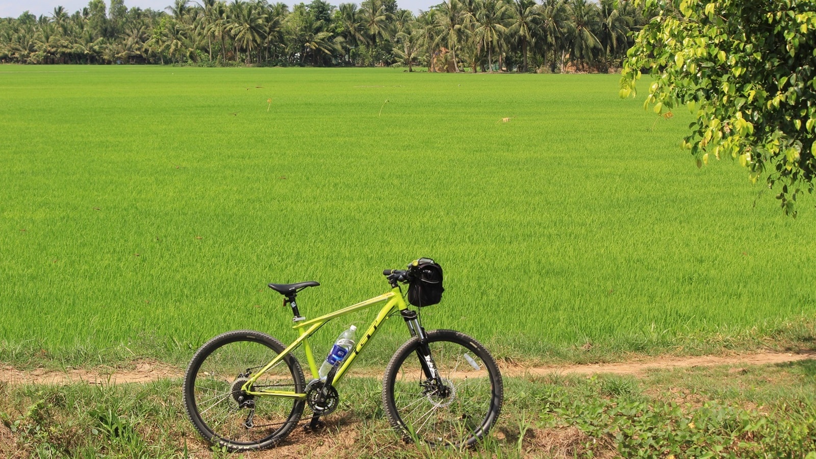 asian-trails-vietnam-a-sustainable-exploration-of-the-mekong-delta
