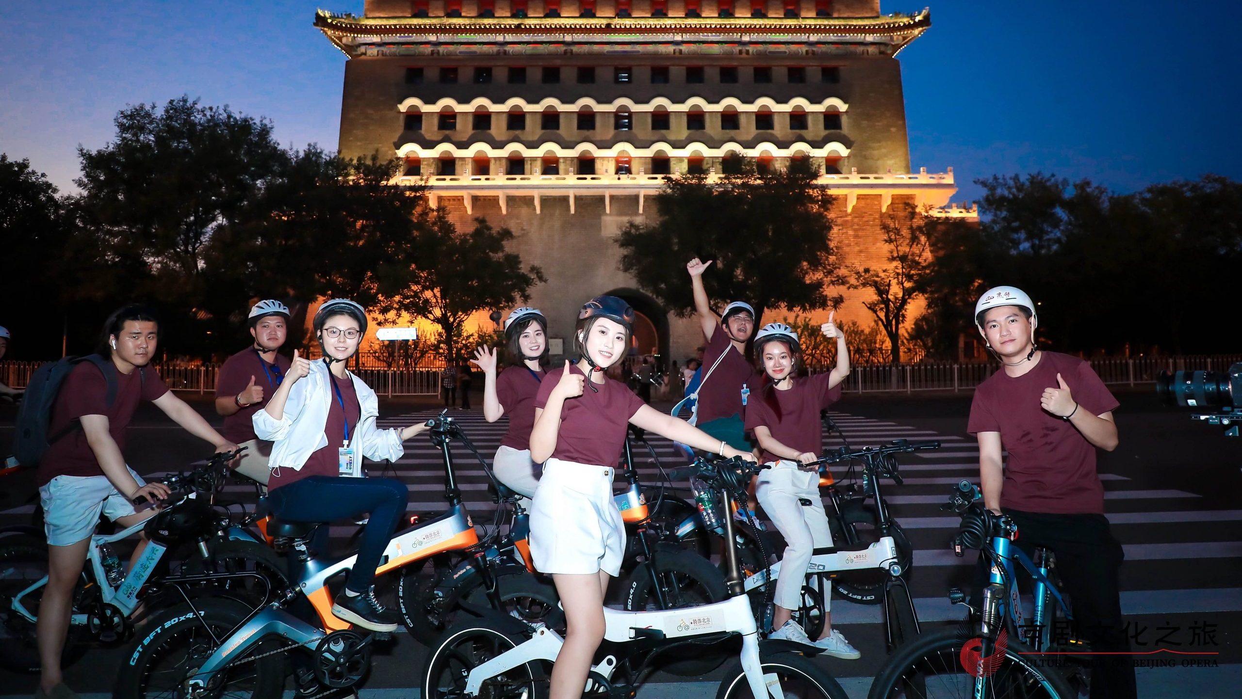 hybrid-pedal-electric-powered-bikes-beijing